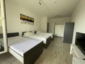 Am Ring Monteurzimmer Apartment Böhlen